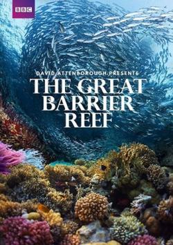       (1-3   3) / BBC. Great Barrier Reef with David Attenborough VO