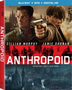  / Anthropoid MVO