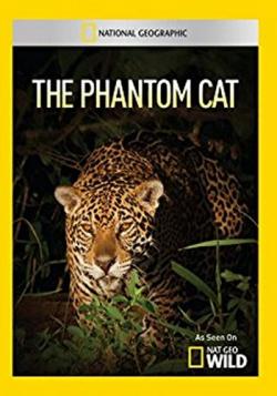   / NAT GEO WILD. The Phantom Cat VO