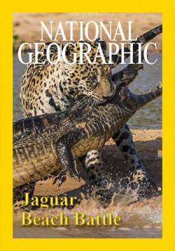     / NAT GEO WILD. Jaguar Beach Battle VO