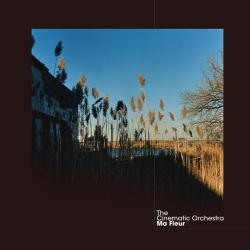 The Cinematic Orchestra - Ma Fleur 2007 (2007)