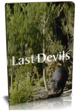   / NAT GEO WILD. Last Devils VO